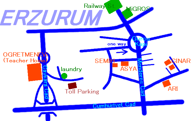 ERZURUM map